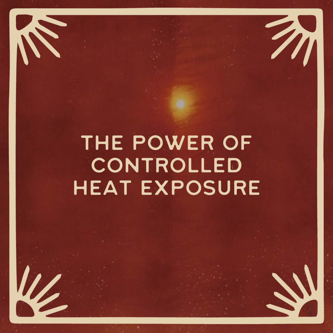 The Power of Controlled Heat Exposure: Traditional & Infrared Sauna 🔥
